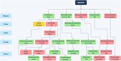 Gut Microbiome Dysbiosis in Alcoholism: Consequences for Health and Recovery